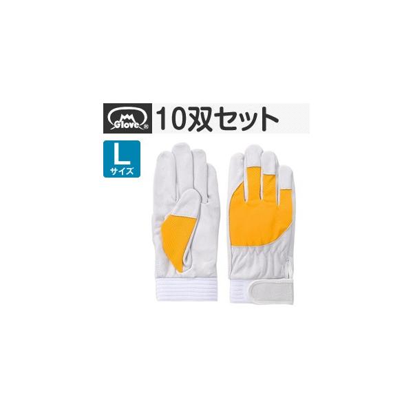 xmO[u  AX[g F-505 ؔNXg CG[ LTCY[5884] 10oZbg :FG8409