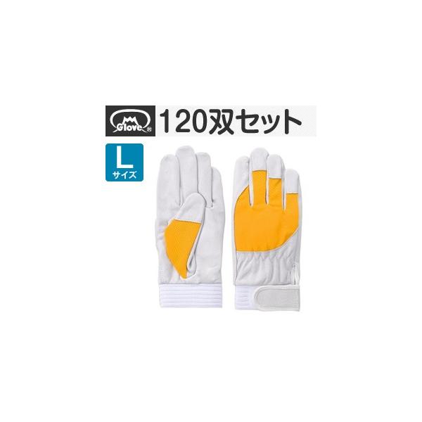 xmO[u  AX[g F-505 ؔNXg CG[ LTCY[5884] 1120oZbg :FG8409