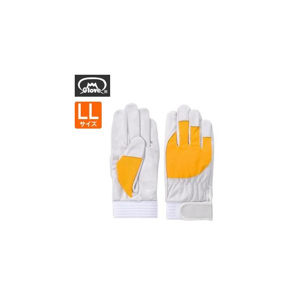 xmO[u  AX[g F-505 ؔNXg CG[ LLTCY[5885] 1o :FG8508