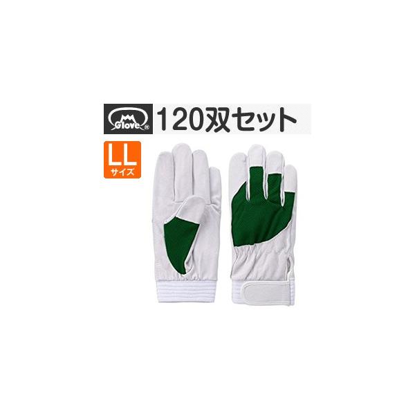 xmO[u  AX[g F-505 ؔNXg O[ LLTCY[5889] 1120oZbg :FG8904