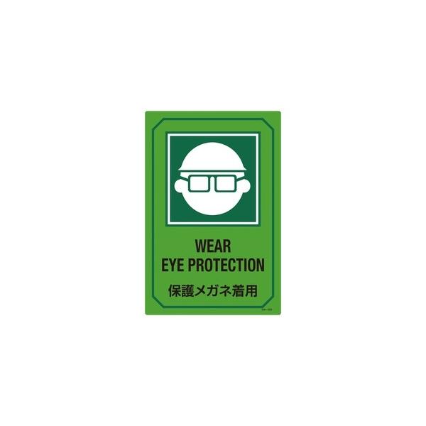 Ώ\ pTCW GB-203 WEAR EYE PROTECTION ی상Klp