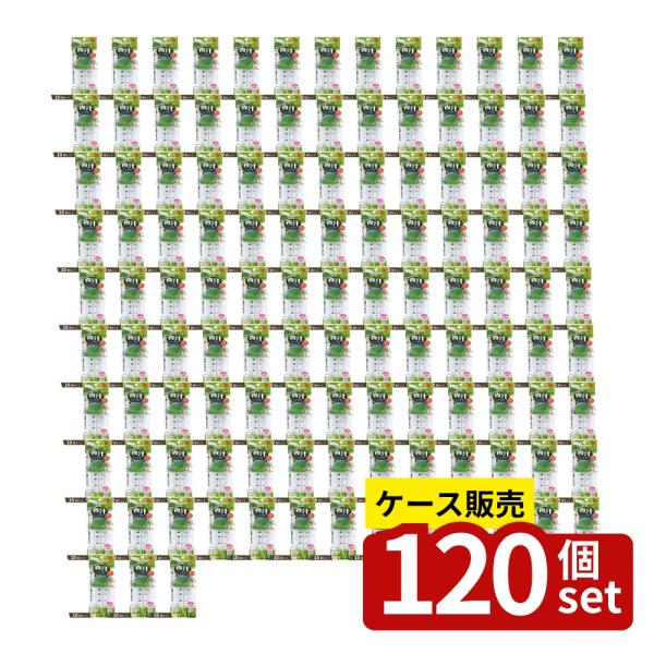 [関連word] ク シェイカー容器 栄養補給 ダイエット 青汁スムージー 目盛り付き 振るだけ 手軽 健康食品 青汁飲料 青汁粉 専用シェイカー 食品容器 キッチン用品 健康生活 日本製 ポリプロピレン