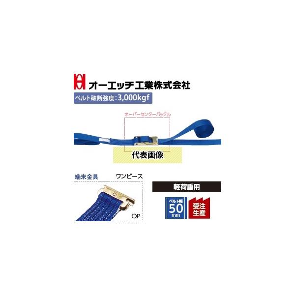 OH(I[Gb`H) ג@ bVOxg LBC503 OP10-30OP I[o[Z^[obN [Fs[X xgFŒ葤1/摤3m [󒍐Yi]