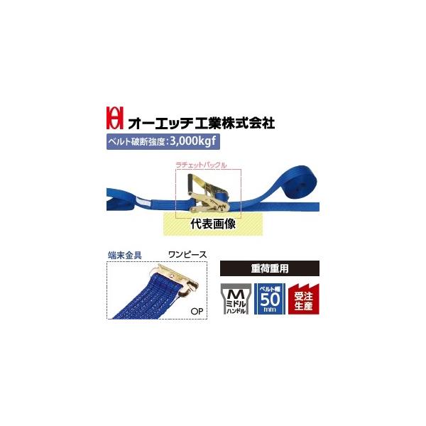 OH(I[Gb`H) ג@ bVOxg LBR703 OP10-30OP `FbgobN ~hnh [Fs[X FŒ葤1/摤3m [󒍐Yi]