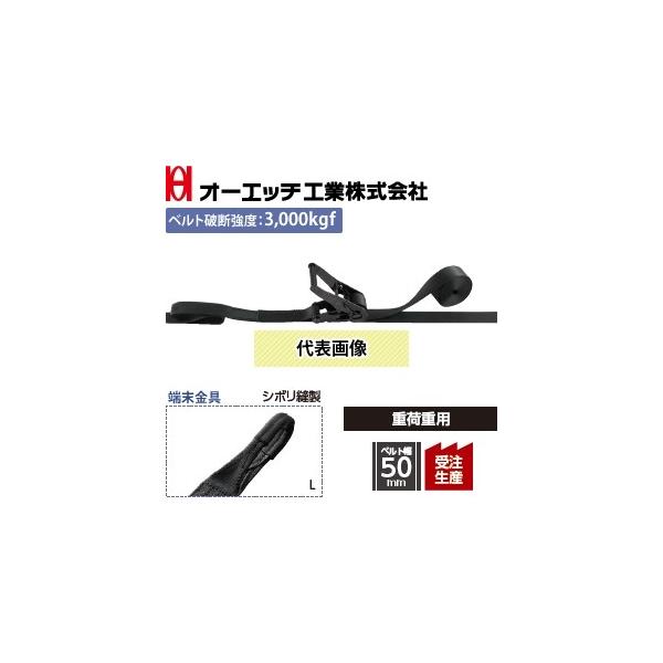 OH(I[Gb`H) ג@ bVOxg LBR703BK L10-50L `FbgubN Chnh FV{D FŒ葤1/摤5m [󒍐Yi]