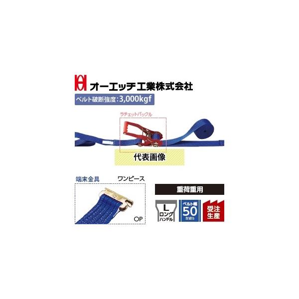 OH(I[Gb`H) ג@ bVOxg LBR803M OP10-30OP `FbgobN Onh Fs[X FŒ葤1/摤3m [󒍐Yi]