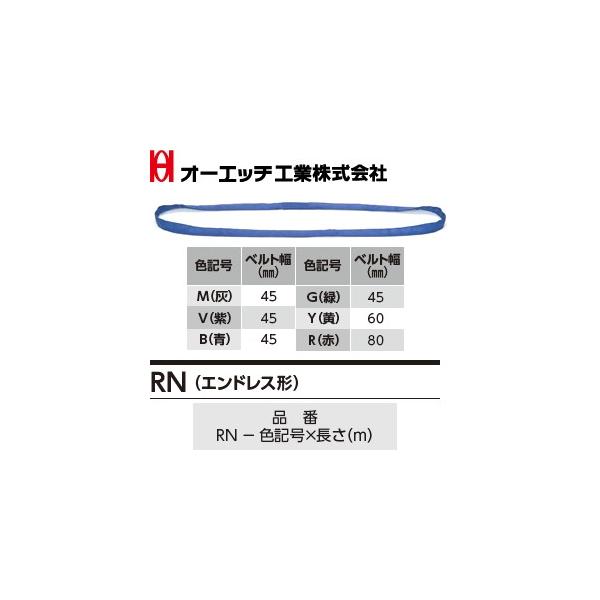 OH(�I�[�G�b�`�H��) �݋� �x���g�X�����O RN-V-2.5 �A�s�b�N�XRN�i�G���h���X�`�j �� �ő�g�p�׏d�F1,000kg �����F2.5m [�󒍐��Y�i]
