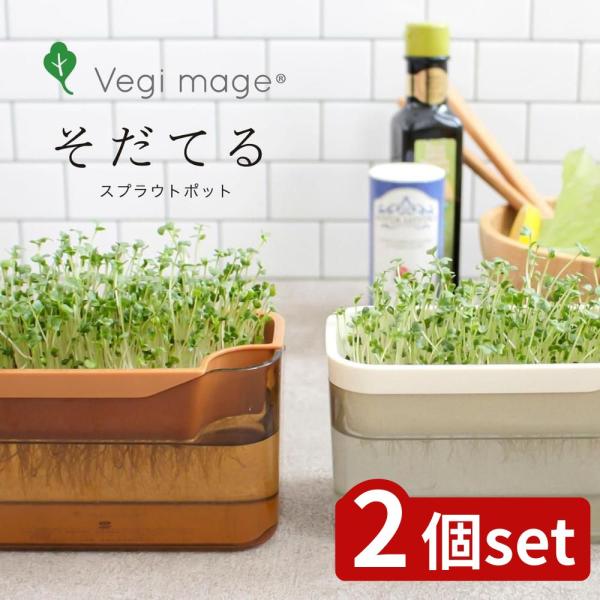 【2個セット】選べる ベジマジ そだてる ポット | スプラウトポット 水耕栽培 室内栽培 家庭菜園 簡単栽培 グリーンインテリア ベジマジ 栽培キット 水栽培 健康
