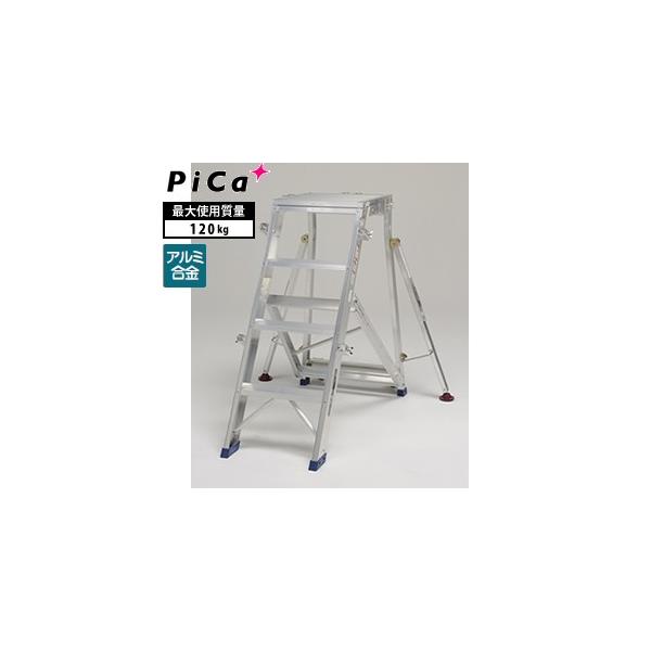 sJ(Pica) A~ ܂肽ݎƑ DXR-120 [^Edʕ]