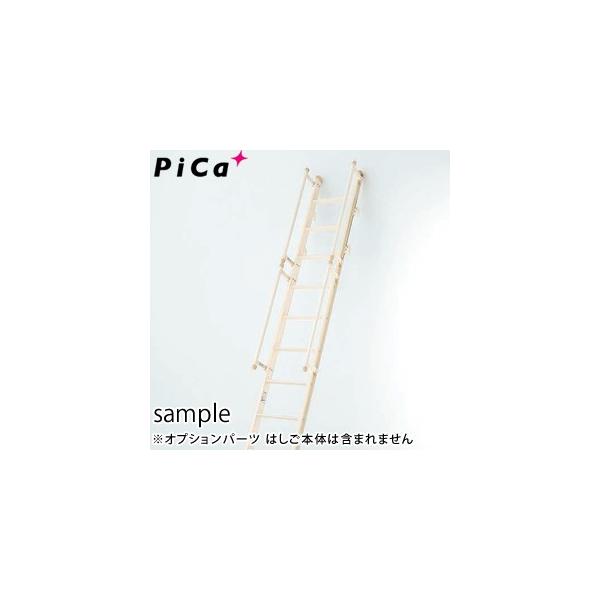 sJ(Pica) ͂IvV 肷 LRS-TEP1 1{