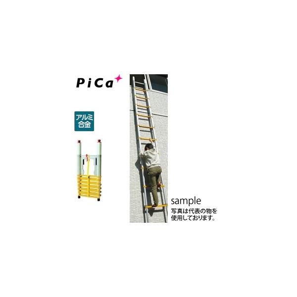 sJ(Pica) p Lk͂(ƌ荇ii) SF4.5m QQL-38
