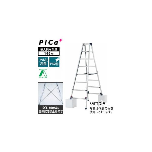 sJ(Pica) A~Lkpr SCL-360A  [@l]