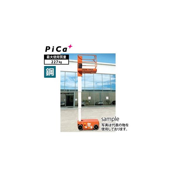 sJ(Pica) Ǝ TM12 [^Edʕ]