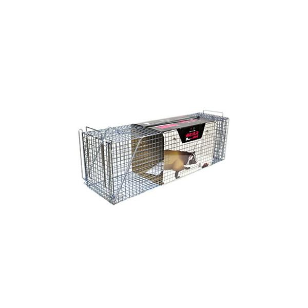 hH hqY ^bߊl(^kLAACO}AnNrVALclp) AG-4 Dtype NO.404 [ʓrς]