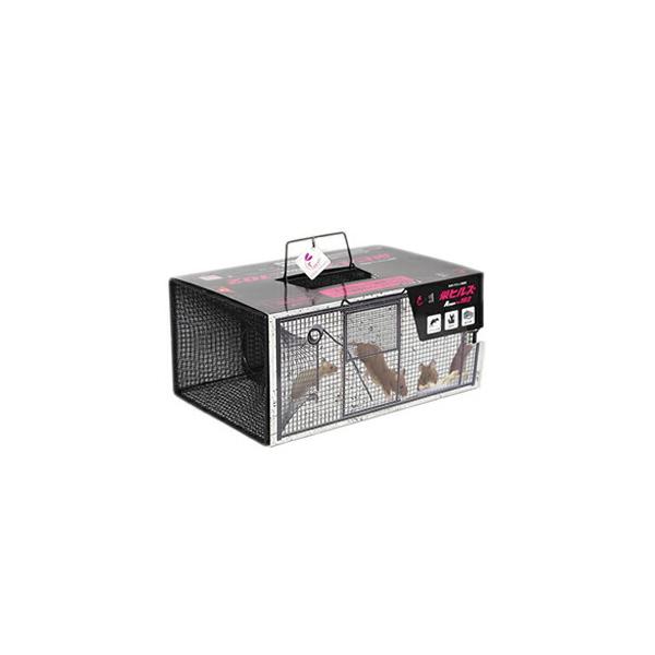 hH hqY ^bߊl(ncJlY~p) NZ-2 Atype NO.102