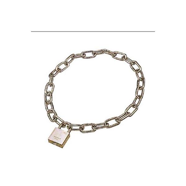 {@B@XeX@X[p[ftbN@iԁFSDL-40-6@1i