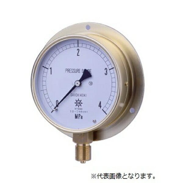 ���v�퐻�쏊 HNT�ėp���͌v BTR3/8-100:0.25MPA