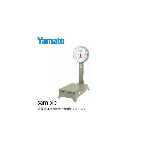 at(}g) D-100SZ ͂ ԗ֕t