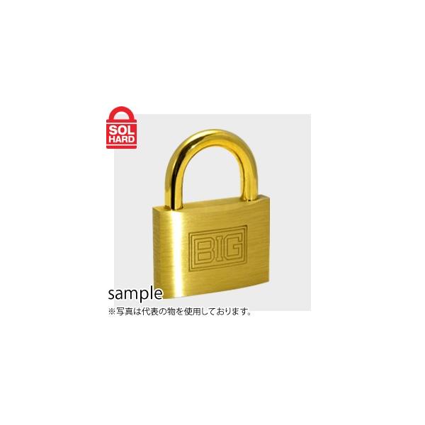 SOL HARD (\[n[h)@No.1200@BIGV_[싞@35mm@ꌮ@Pi