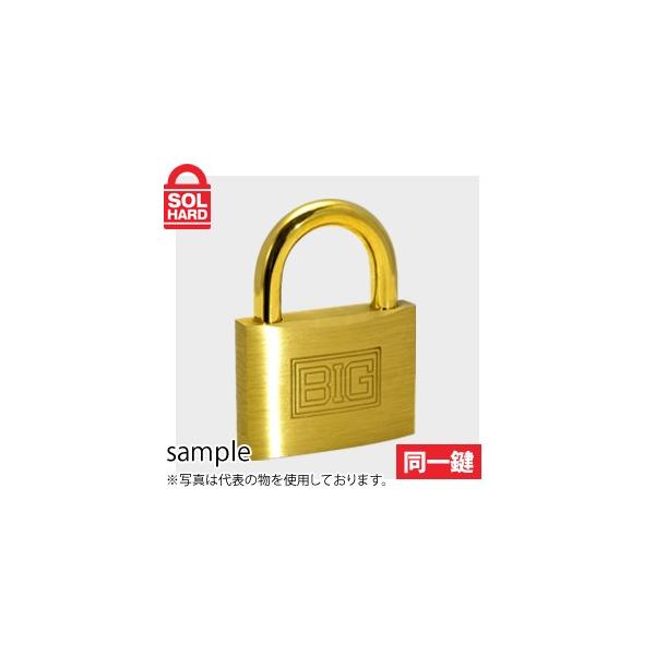 SOL HARD (\[n[h)@No.1200@BIGV_[싞@50mm@ꌮ@Pi