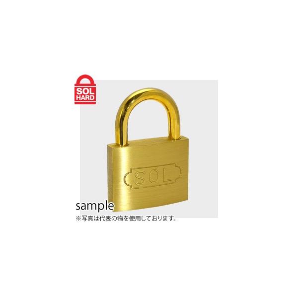 SOL HARD (\[n[h)@No.2500@V_[싞@30mm@ꌮ@Pi