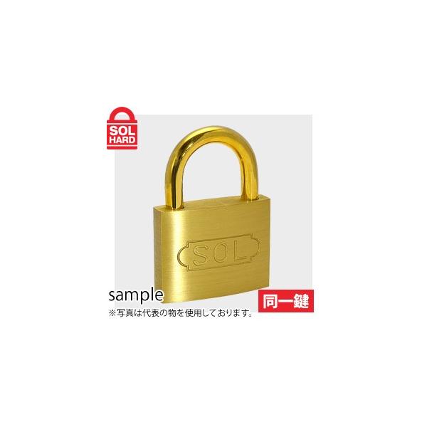 SOL HARD (\[n[h)@No.2500@V_[싞@45mm@ꌮ 1(6)