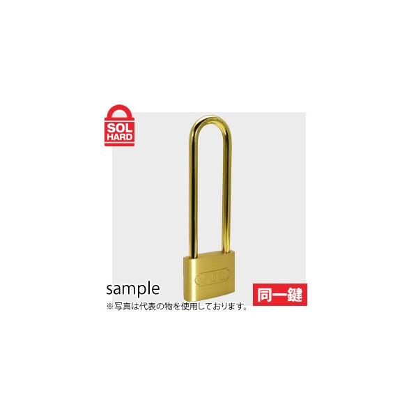 SOL HARD (\[n[h)@No.2500@V_[싞@c@30mm@ꌮ 1(12)