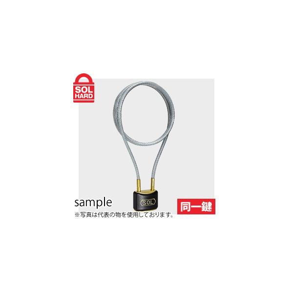 SOL HARD (\[n[h)@No.3800 C[bN 40mm@C[t싞@ꌮ@Pi