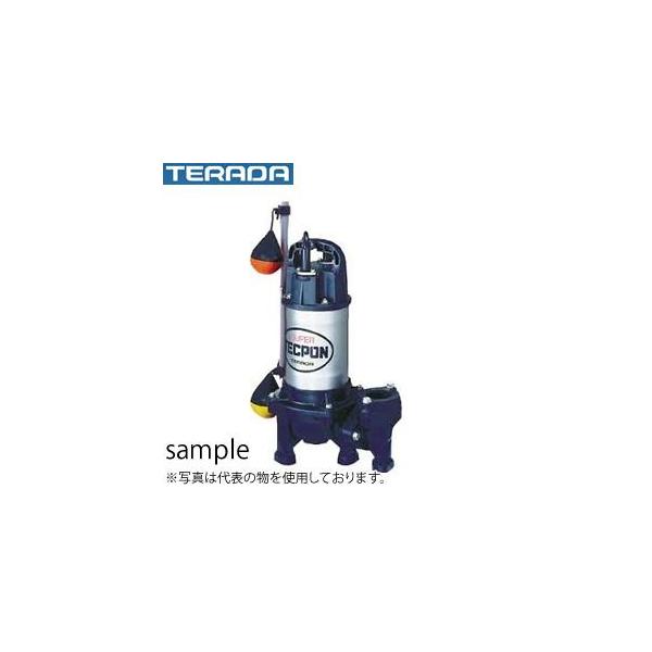 R-7 寺田ポンプ水中ポンプ単相100V 50Hz PGA-250