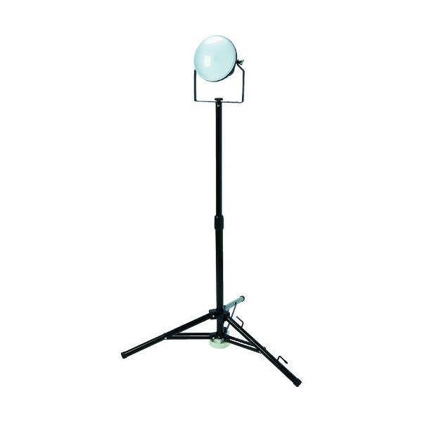 TRUSCO LED DELKURO Or^Cv 1 50W 5m A[Xt 2c3cp^Cv RTLE505EPSK(1145839)