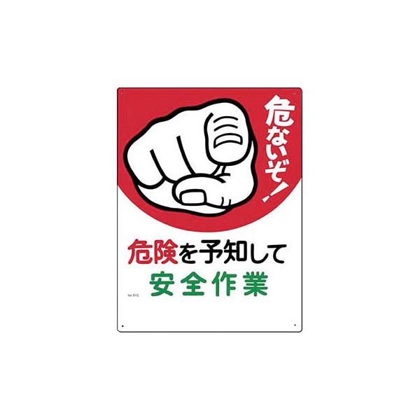 H[ SW 51-C wȂ!댯\mĈSƁx 댯\mW 600×450mm SC{[h