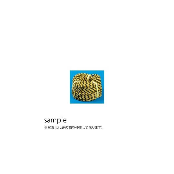 H[ SW 5411 [vx g[v 12×100m |G`[@l][ʓrς]