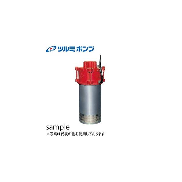 �ߌ����쏊(�c���~�|���v) �����^�[�r���|���v 100NTJ118 �O��200V 60Hz(�����{�p)[�@�l����]