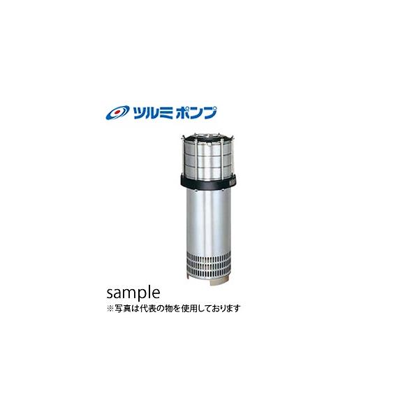 �ߌ����쏊(�c���~�|���v) �����^�[�r���|���v 40NTS55.5 �O��200V 50Hz(�����{�p)[�@�l����]