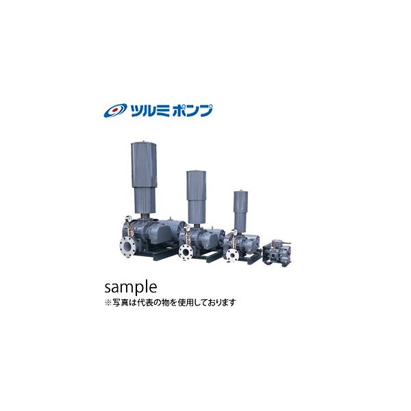 �ߌ����쏊(�c���~�|���v) ���C�p ���[�c�u���� RSR-65 �O��200V 50Hz(�����{�p) ���a65mm 2.2kw [�@�l����]