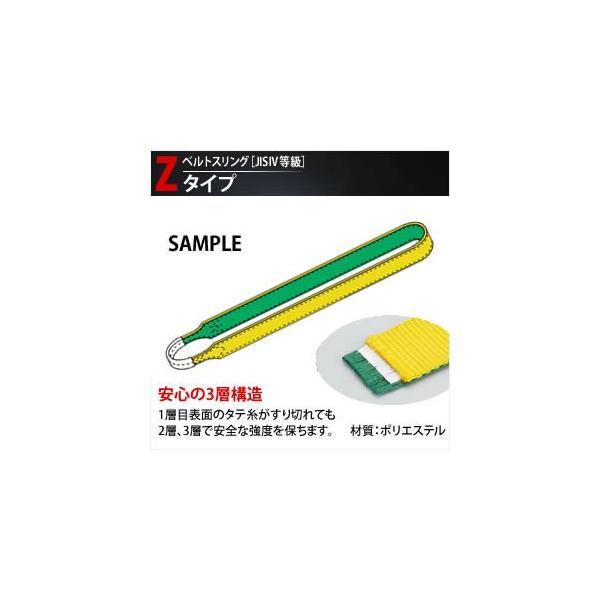�c������ ��ʋʊ|���p�x���g�X�����O (�G���h���X�`�i�C�����X�����O) Z-4N-35X0.50m