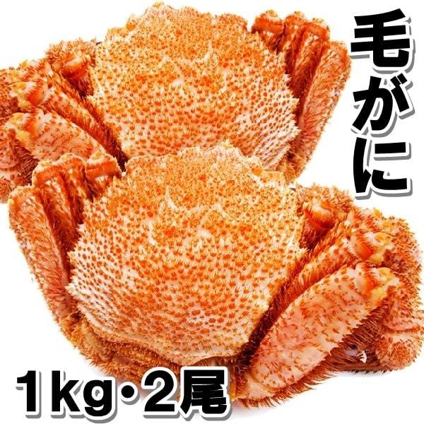 [Release date: November 16, 2020]北海道産の毛ガニが２尾で１kg、１尾が約５００gとお手ごろな毛ガニをご用意いたしました。（冷凍時）成熟した堅蟹なので、身入りもしっかりです。(画像要確認）（脚折れですが身入り...