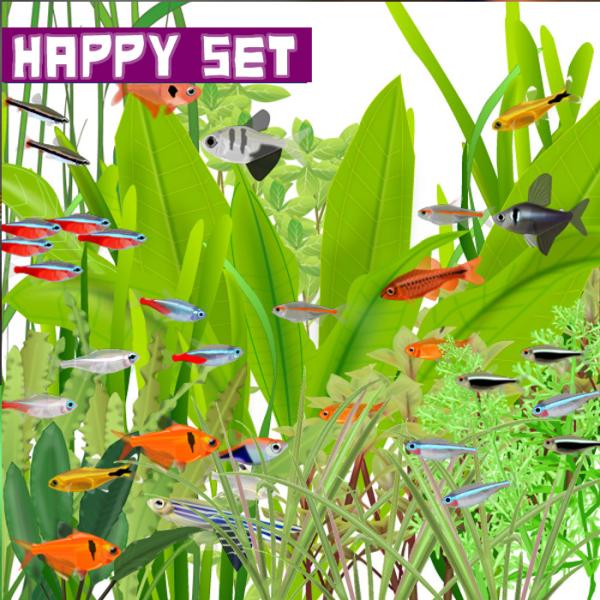 熱帯魚 バリューセット 5種類以上入っています おまかせカラシン ラスボラ バルブ 約1 5 2 5cm 10匹 1000set Oh10 熱帯魚通販のネオス 通販 Yahoo ショッピング