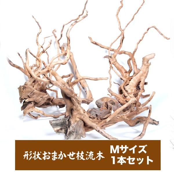 流木 一点物 美白流木 形状おまかせ 1本 Bihaku 熱帯魚通販のネオス 通販 Yahoo ショッピング