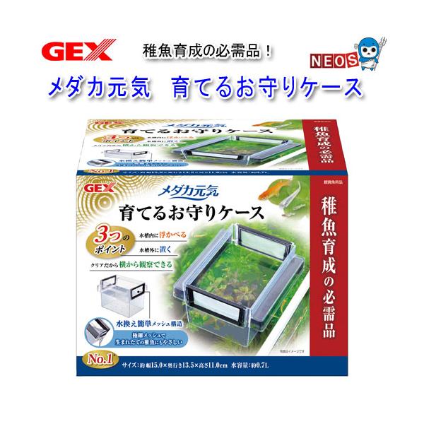 パケパフ350円GEX　メダカ元気　育てるお守りケース