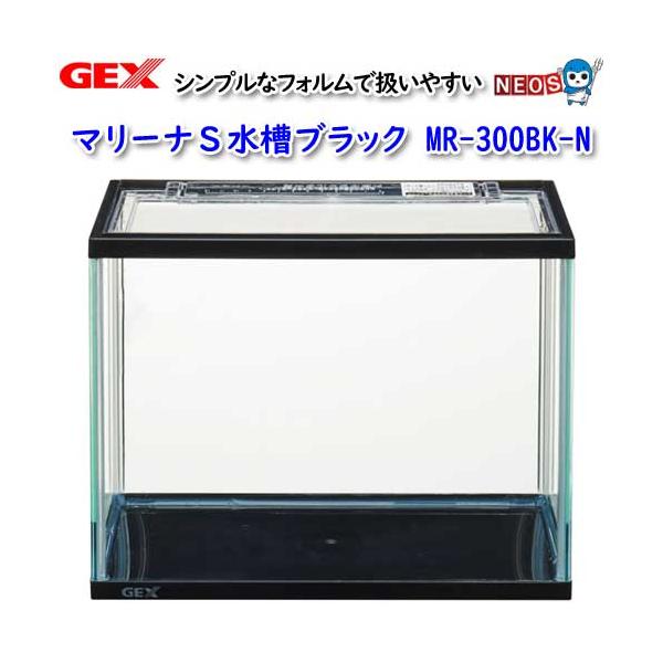 fish-y_gex20220401-13