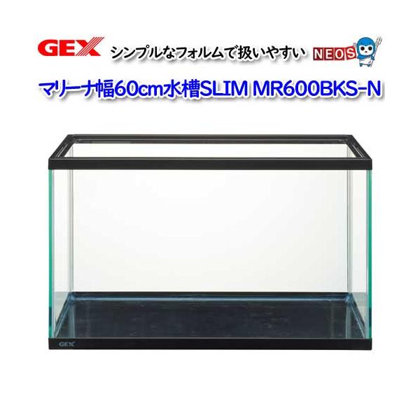 fish-y_gex20220401-21