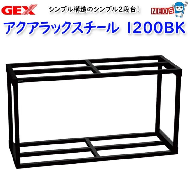 fish-y_gex20240214-24