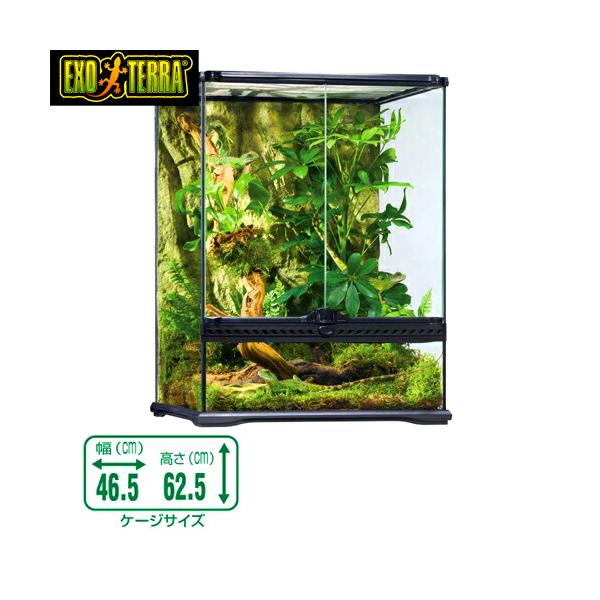 エキゾテラ GEX EXOTERRA グラステラリウム 4560爬虫類飼育ケージ グラステラリウム4560 エキゾテラ GEX ガラス飼育ケージ 販売 通販