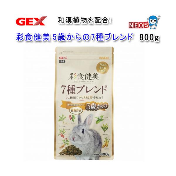fish-y_gex280214-2