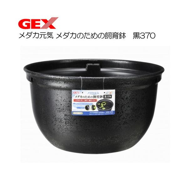 (アクアリウム 用品)GEX　メダカ元気 メダカのための飼育鉢 黒370