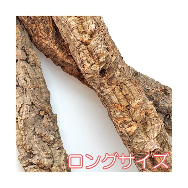 爬虫類・両生類用 コルク枝 7本 (約 直径6～10x長さ60～90cm位) 爬虫類・両生類用 コルク枝 7本 (約 直径6～10x長さ60～90cm位)