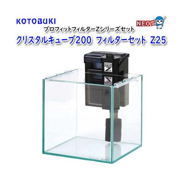 fish-y_kot20230331-8