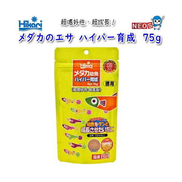 ゆうパケット290円キョーリン　メダカ幼魚　ハイパー育成　70g