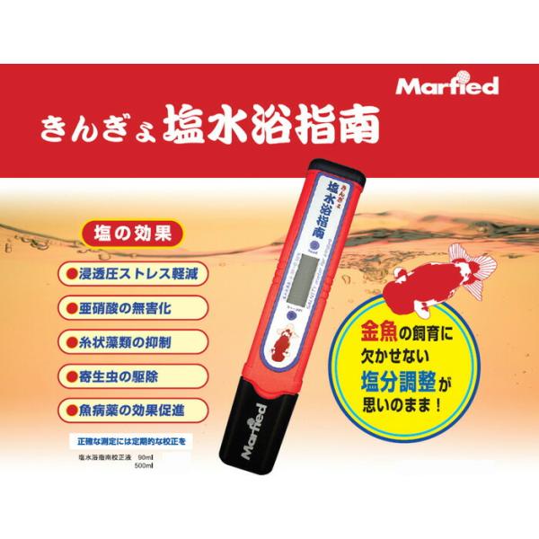 マーフィード きんぎょ 塩水浴指南 fish-y_mfd1076